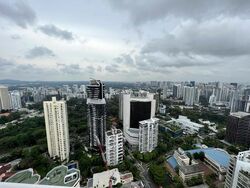 The Ritz-Carlton  (D9), Condominium #527434181